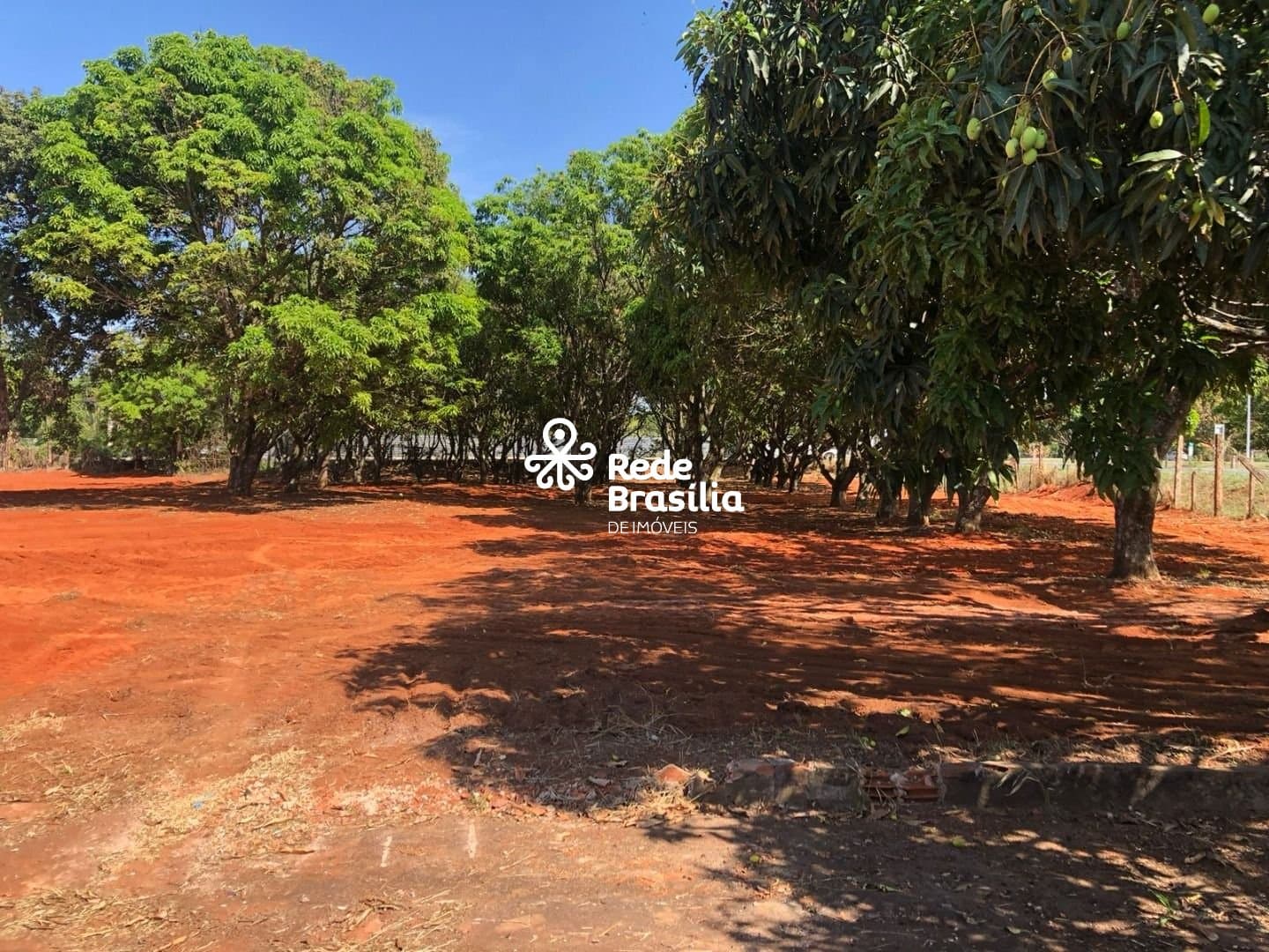 Imagem da propriedade SM804 10
