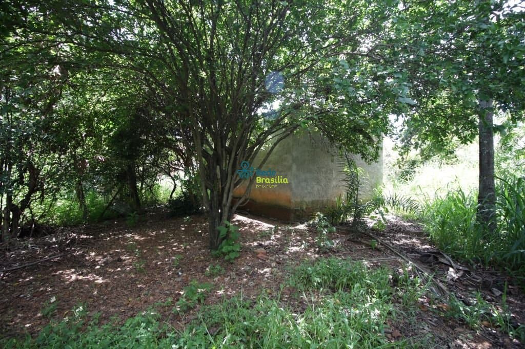 Imagem da propriedade CO7829 6