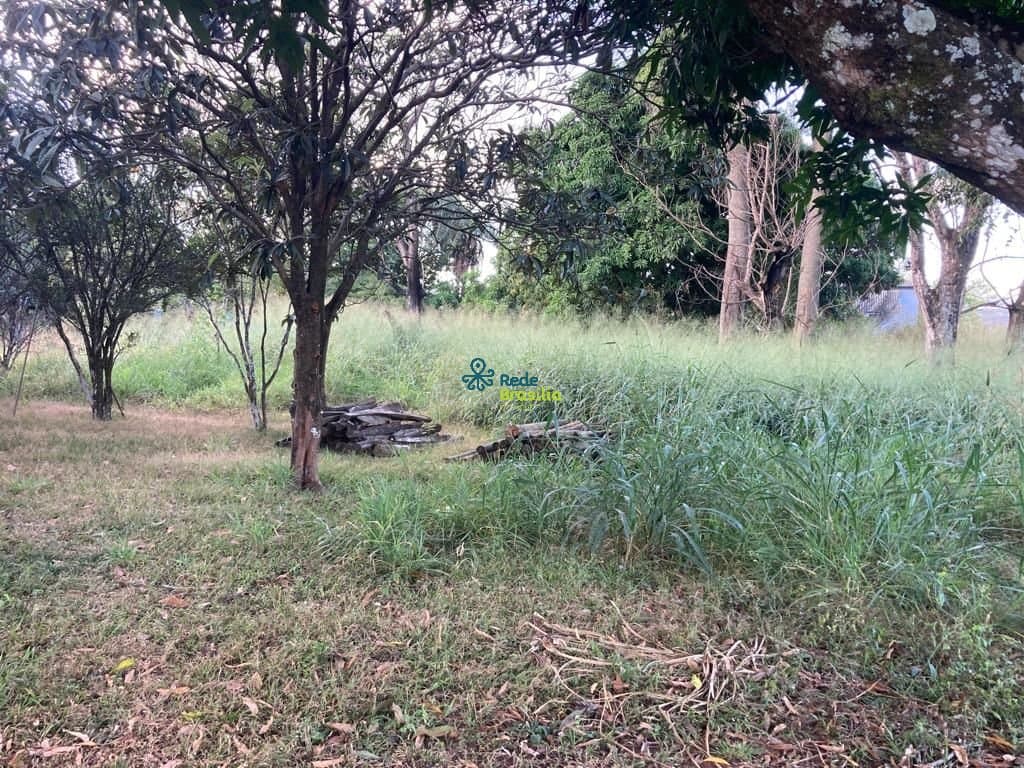 Imagem da propriedade CO8106 3