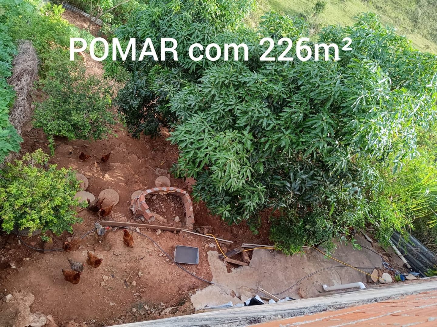Imagem da propriedade RB1638 10