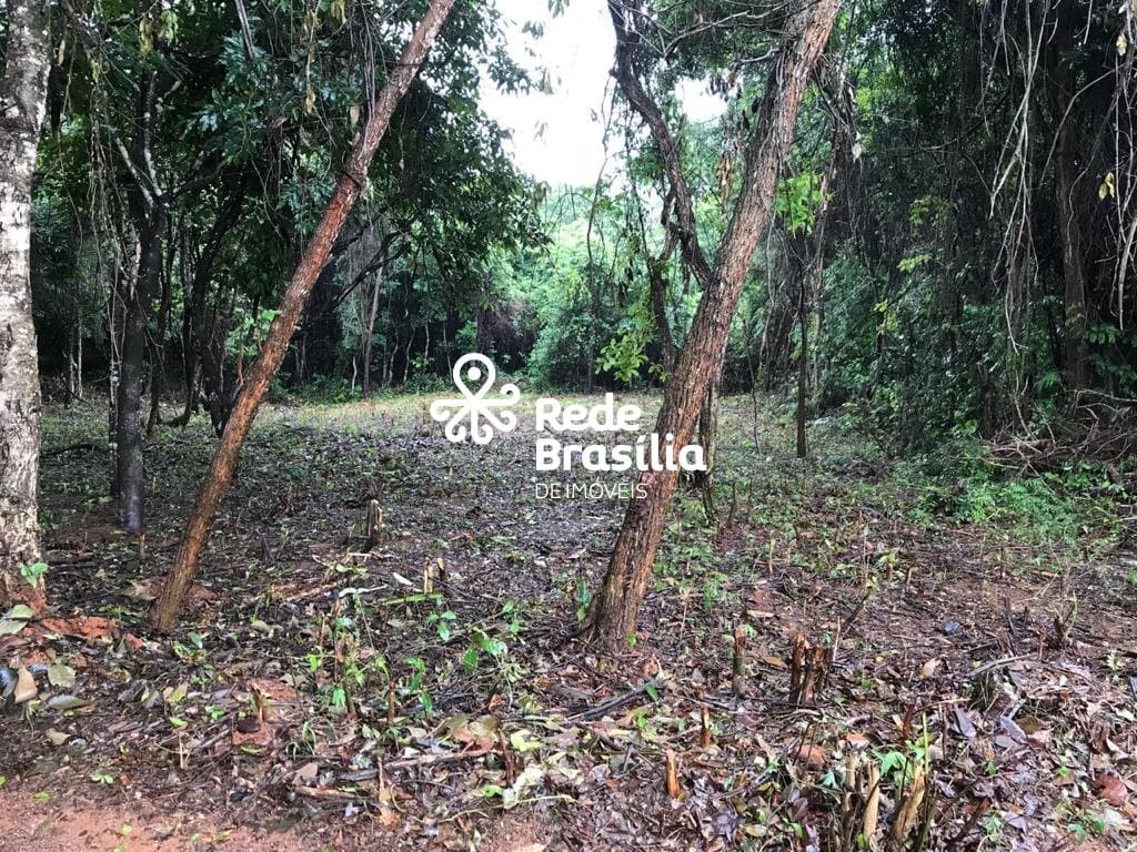 Imagem da propriedade TH16220 5