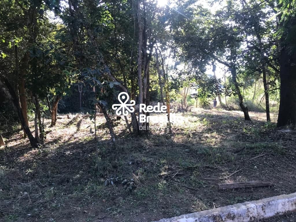 Imagem da propriedade TH16220 15