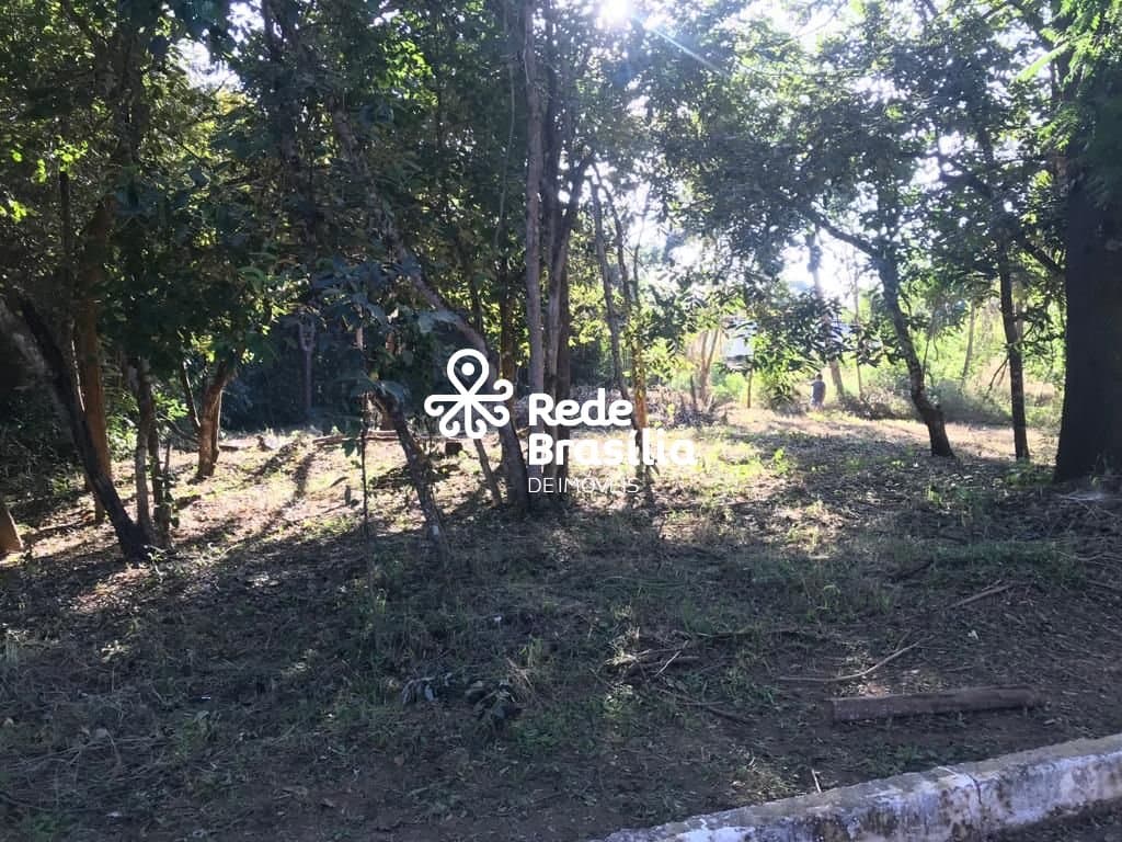 Imagem da propriedade TH16220 9