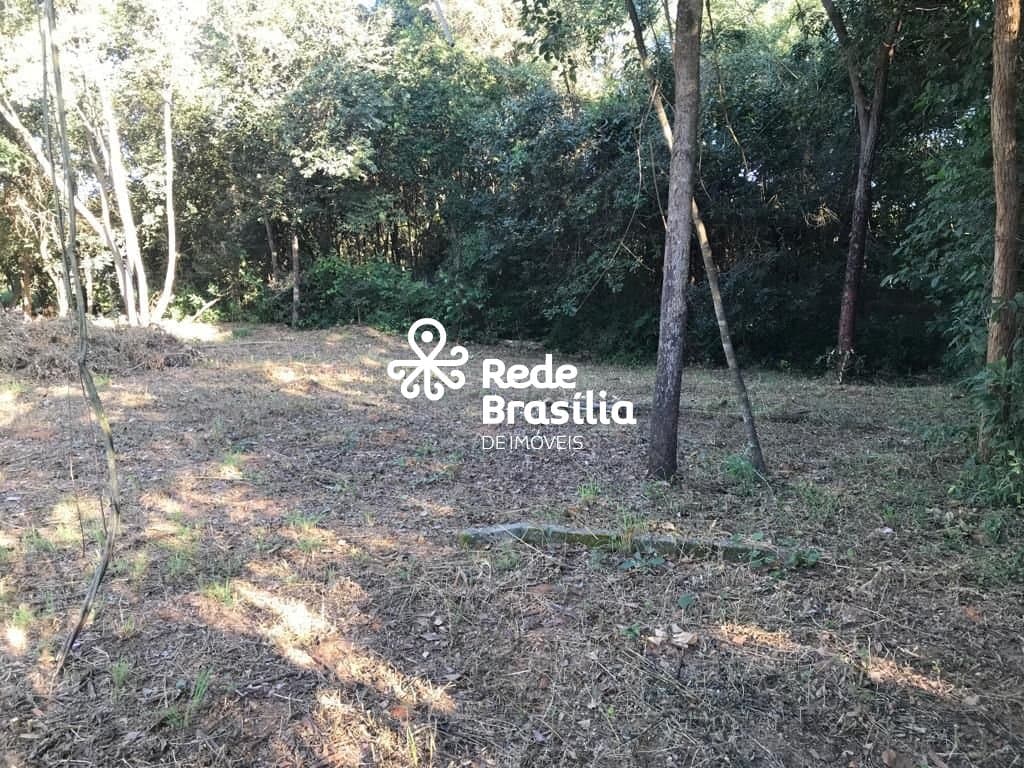 Imagem da propriedade TH16220 11