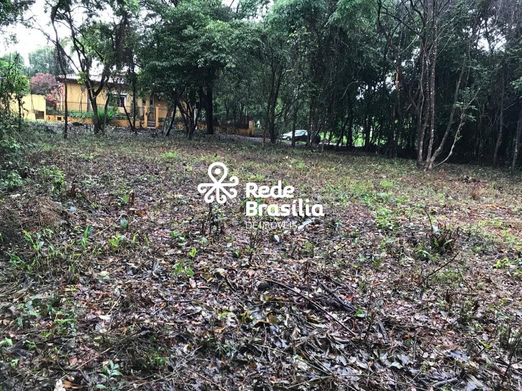 Imagem da propriedade TH16220 4