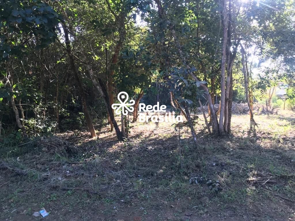 Imagem da propriedade TH16220 8