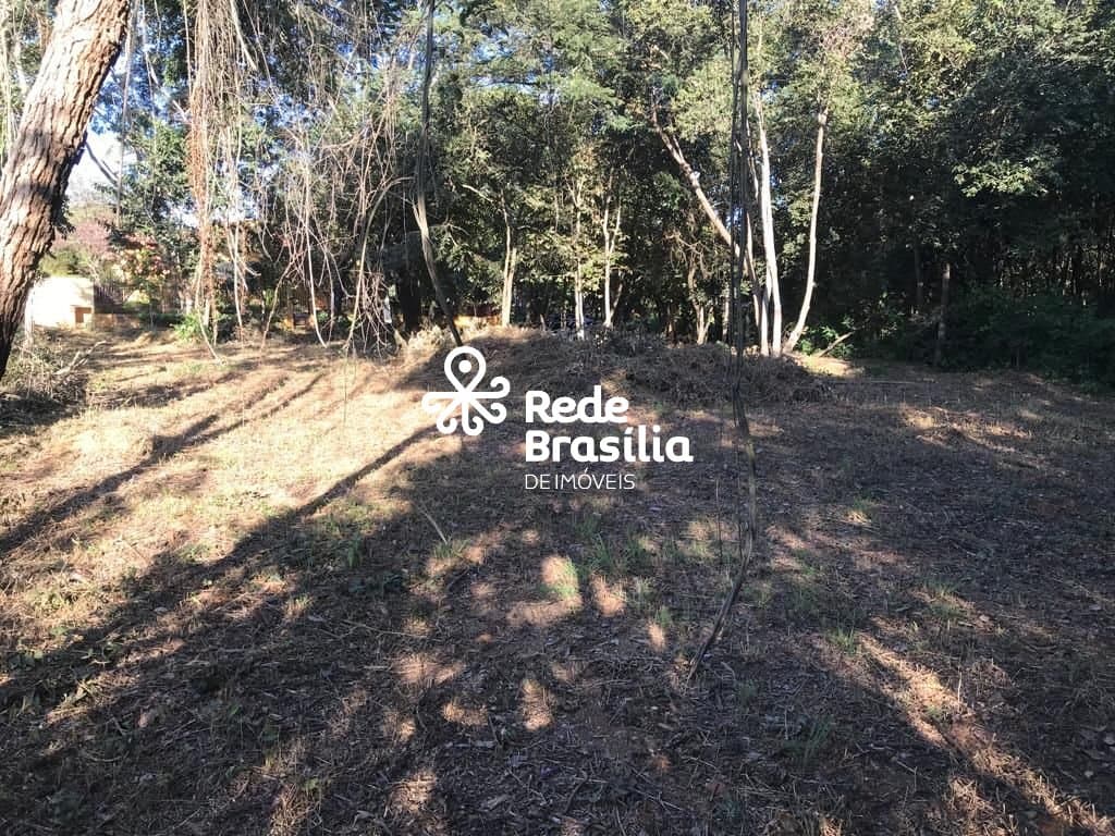 Imagem da propriedade TH16220 19